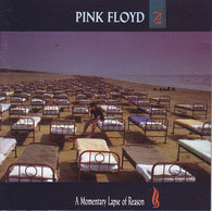 Pink Floyd : A Momentary Lapse Of Reason (CD, Album, RE)