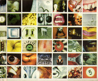 Pearl Jam : No Code (CD, Album, "D")