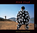 Pink Floyd : Delicate Sound Of Thunder (2xCD, Album, RE, Dig)