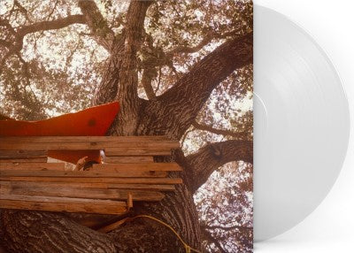 Backseat Lovers - Waiting To Spill (Indie Exclusive, Clear Vinyl)