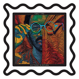 Toro y Moi - Anything In Return (10th Anniversary, Picture Disc)