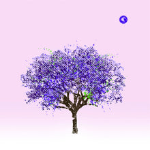 Eels - Tomorrow Morning (LP Vinyl)