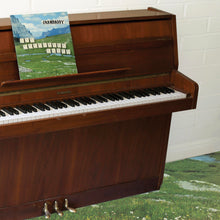 Grandaddy - The Sophtware Slump ......On A Wooden Piano (Ten Bands One Cause Pink Vinyl 2021)