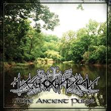 Nechochwen - The Ancient Pulse (CD version)