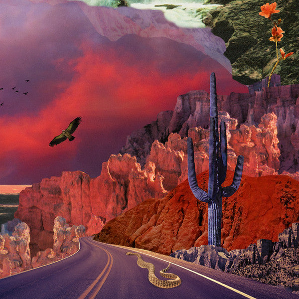 Turkuaz - Apollyon (LP Vinyl)