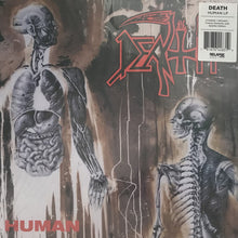 Death - Human (Custom Butterfly with Splatter Edition)