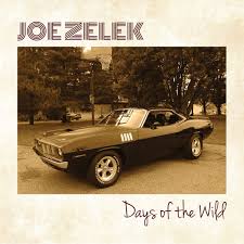 Joe Zelek - Days of the wild (CD)