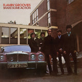 Flamin' Groovies - Shake Some Action (Green Vinyl)