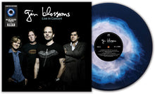 Gin Blossoms - Live In Concert (Blue & White Haze)