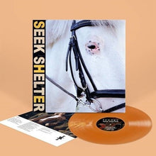 Iceage - Seek Shelter (Orange Vinyl)