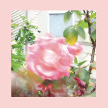 The Reds, Pinks & Purples - Summer At Land's End (Indie Exclusive, Yellow Vinyl