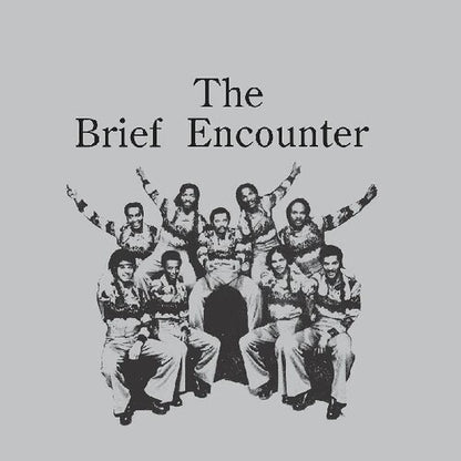 The Brief Encounter - Introducing The Brief Encounter (Smoky Mountain Vinyl)