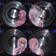Tool - Lateralus (Picture Disc) UPC: 614223116013